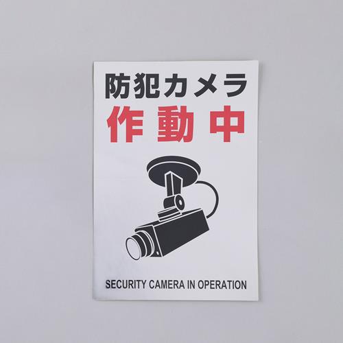 Disaster / Crime Prevention