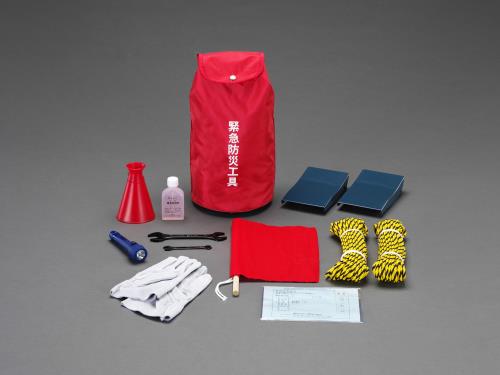 Disaster / Crime Prevention