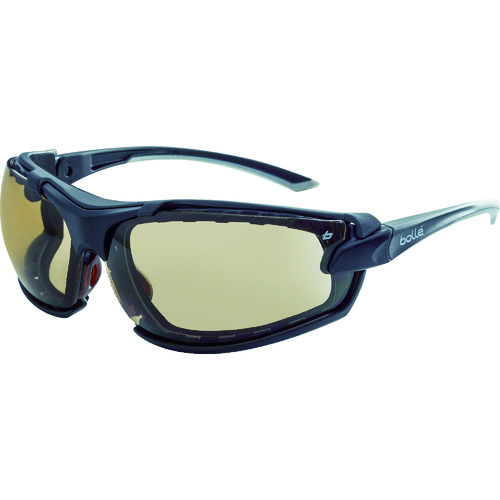Protective Glasses / Disaster Preventions