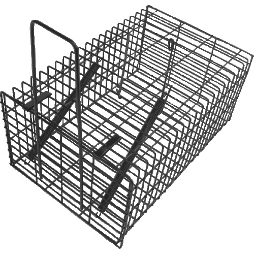 Pest Control Supplies