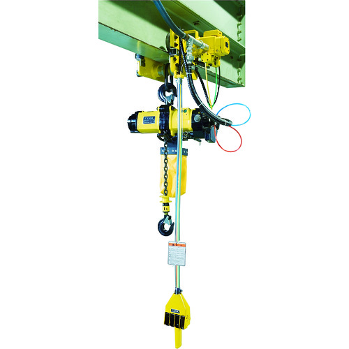 Chain Block Cranes