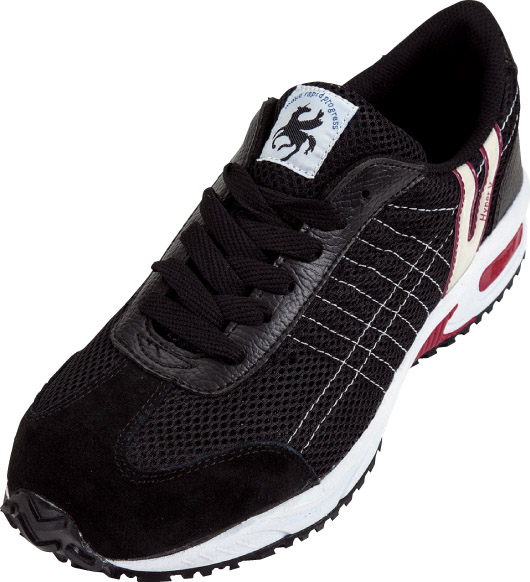 Safety Shoes / Work Shoes