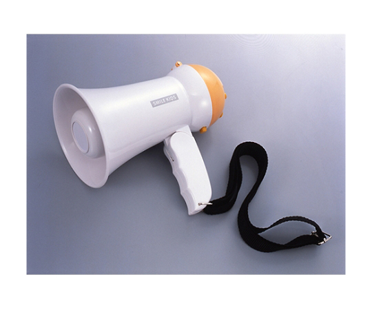 Disaster / Crime Prevention